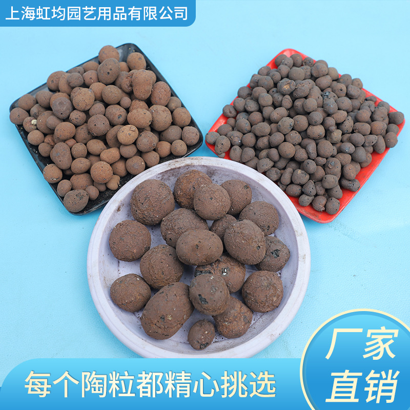 园林陶粒/无土栽培/隔水透气/园艺陶粒中号