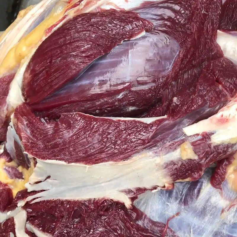 甘肃天祝县白牦牛肉高原特产耗牛新鲜生鲜生牛肉现杀整块原切1斤