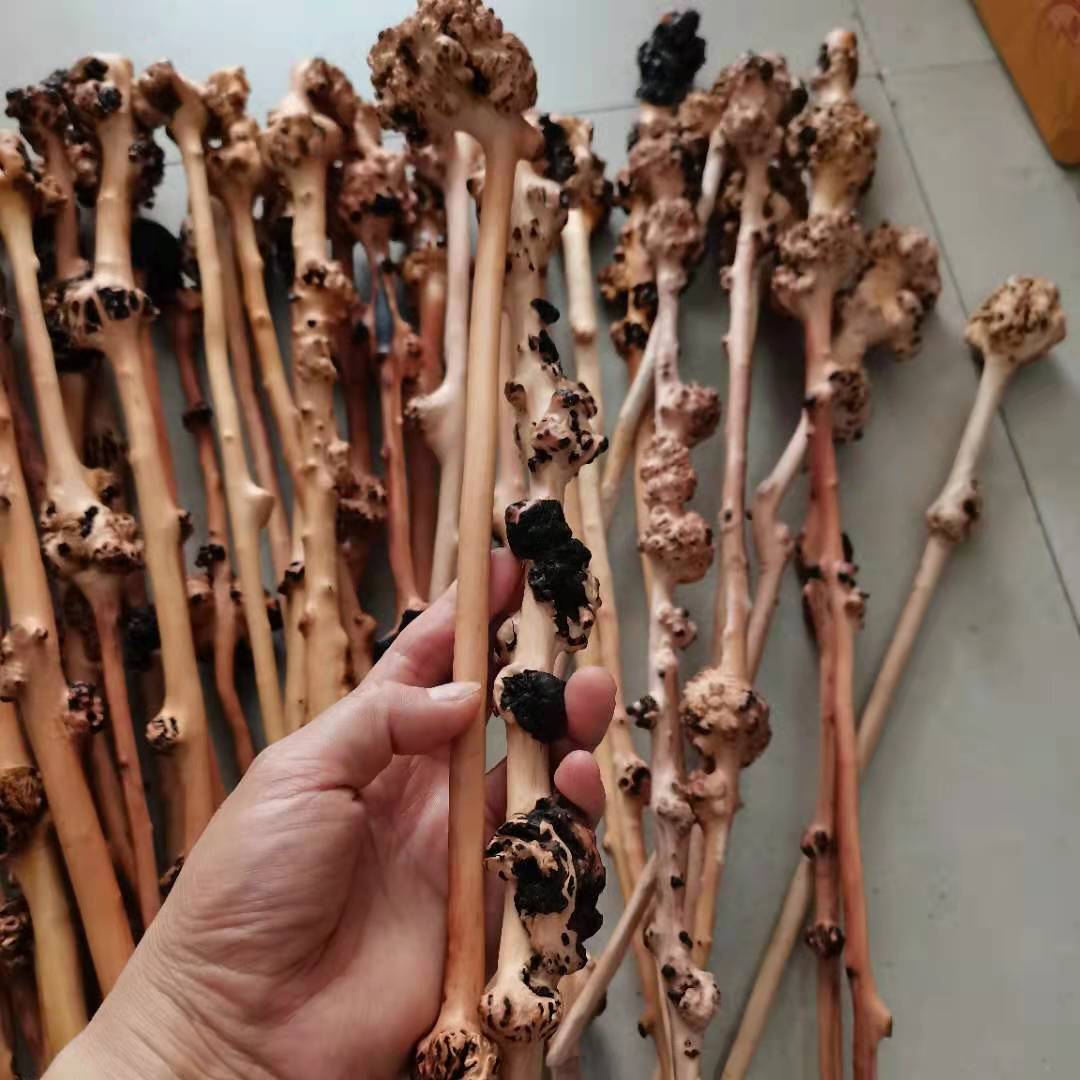 黑果木小棒办公摆件根雕木质山茶木麻梨疙瘩随性摆件随行