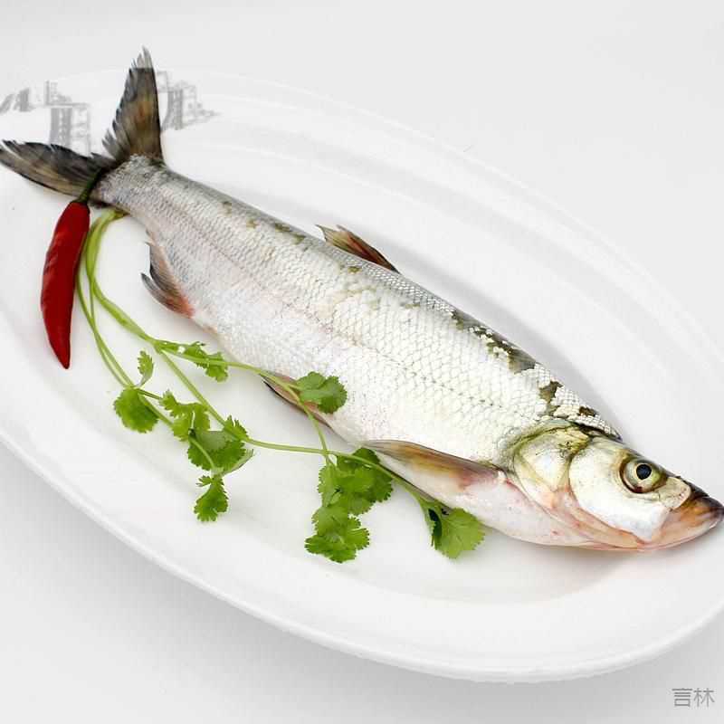 刁子鱼翘壳鱼湖北特产大白刁翘嘴鱼大白鱼新鲜净膛现杀现发包邮
