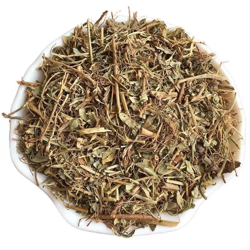 叶下珠中药材野生叶下珠茶珍珠草龙珠草鱼鳞草夜合草中草药