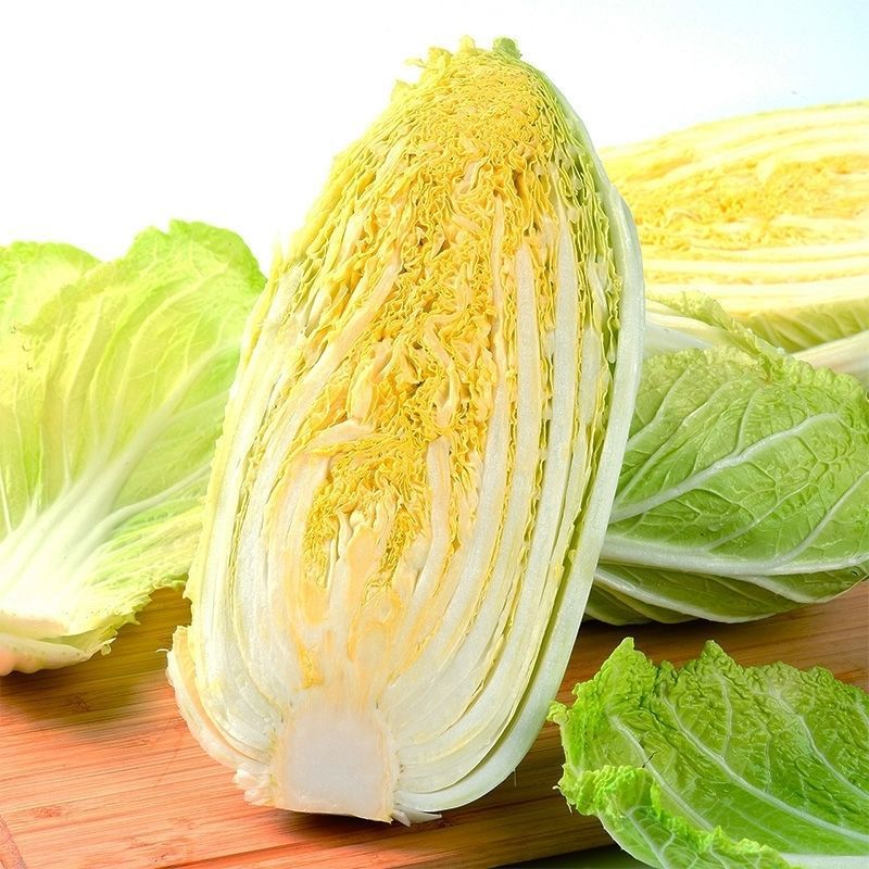 新鲜黄心大白菜东北蔬菜农家自种黄芽整棵白菜娃娃菜批发现摘现发