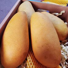 海南芒果金煌芒台湾水仙芒果新鲜水果超级大芒果金黄特大整箱10斤