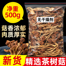 茶树菇500g新鲜农家特产干货不开伞茶薪菇香蘑菇商用旗舰店