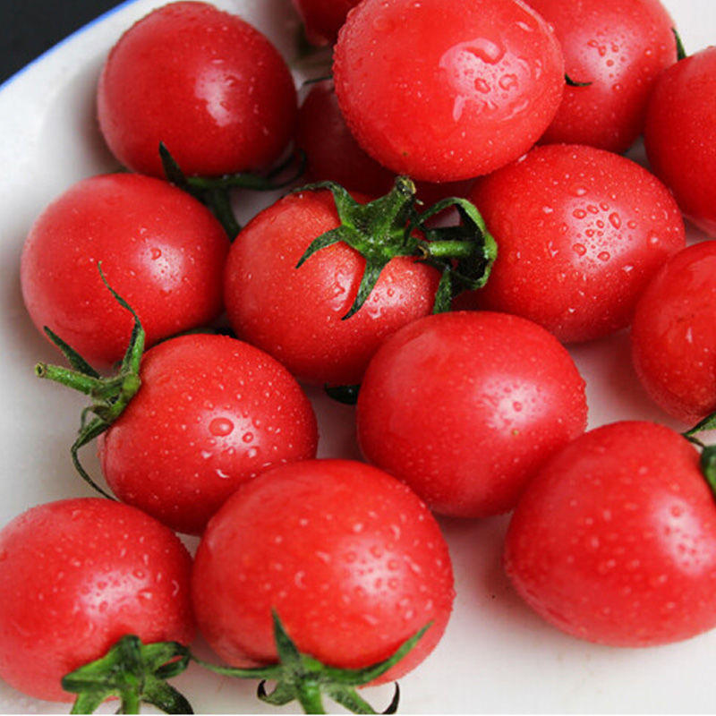 小番茄新鲜圣女果碧娇千禧甜当季应季水果整箱批发厂家批发网红