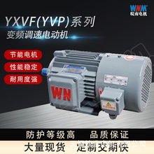 安徽皖南电机厂家直销YXVF(YVP)系列变频调速电动机-节能电机
