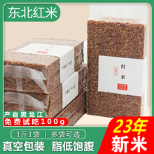 东北红米新米农家红大米饭五谷杂粮米香米红糙米粗粮食血稻米5斤