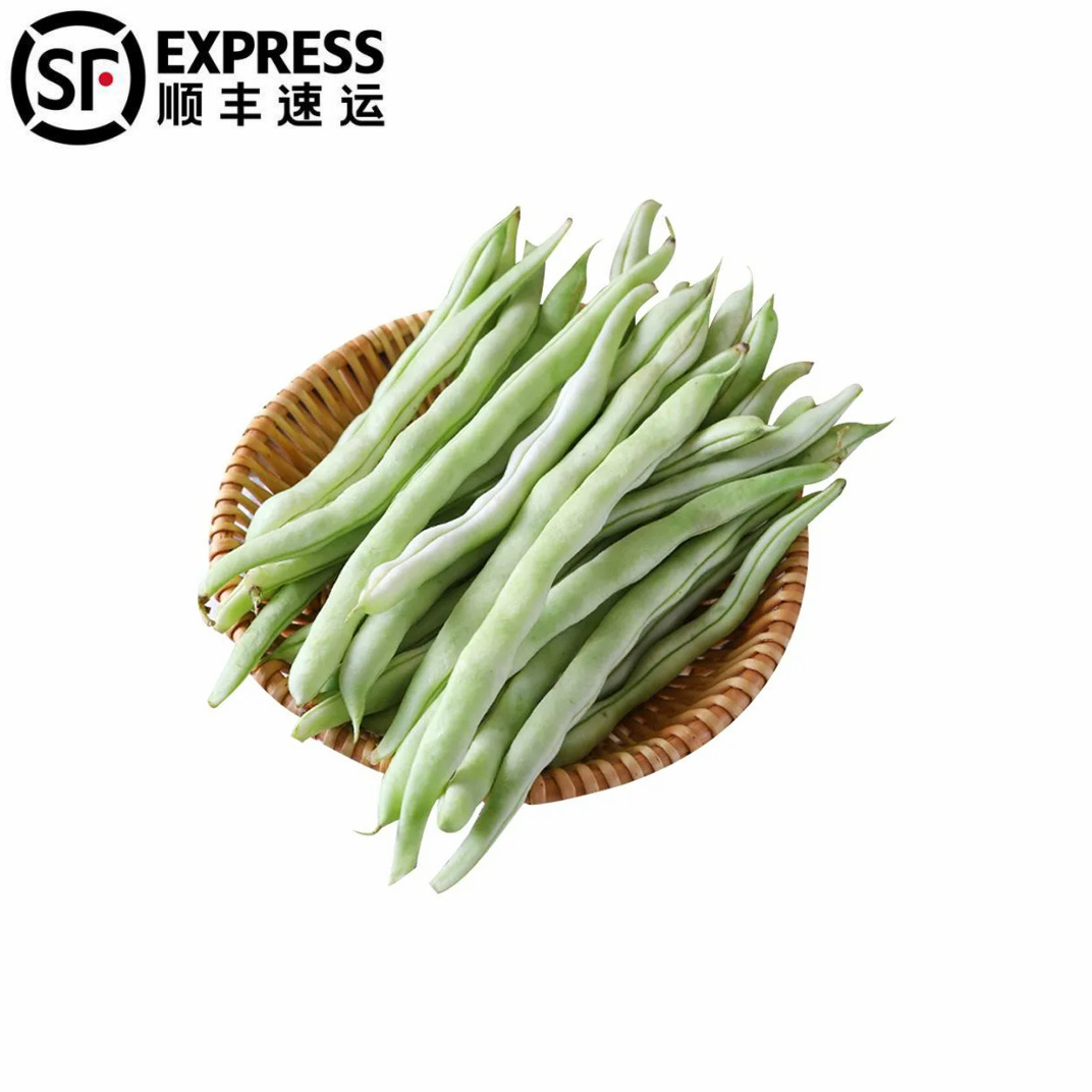 5斤顺丰东北白豆角新鲜白不老当季蔬菜白架豆九粒白大架现摘整箱