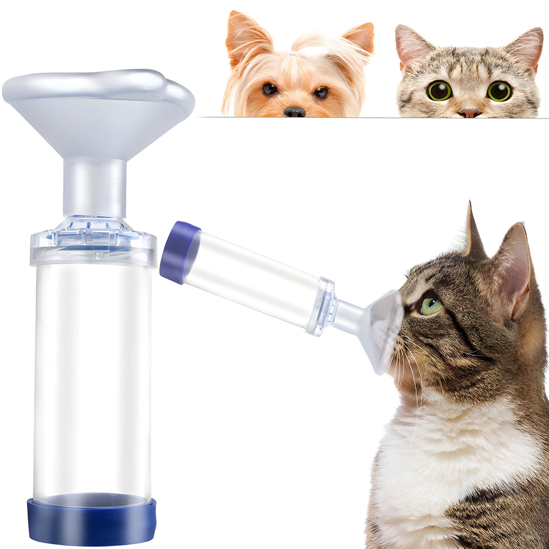 跨境宠物气溶胶室猫狗吸入器口罩手持式吸入器宠物英文包装