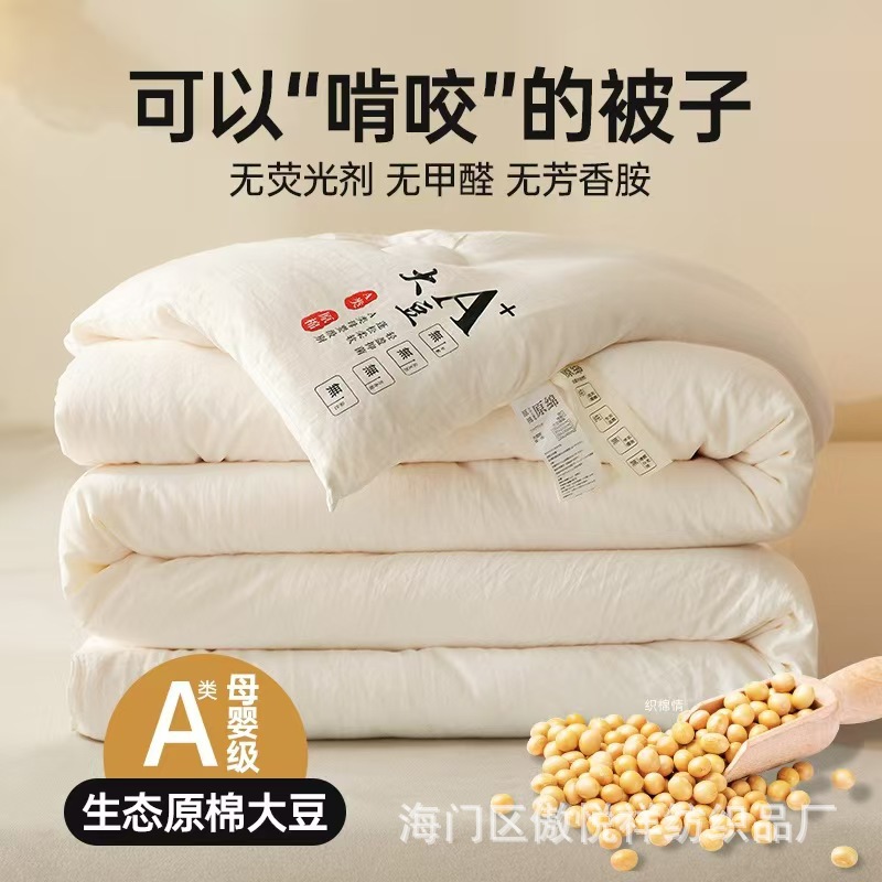 夏被礼品空调被亲肤棉可水洗单人薄款被子公司开业礼盒装被芯批发