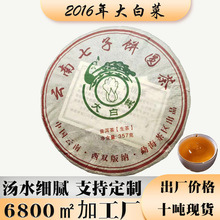 勐海七子饼大白菜古树普洱茶生茶357克回甘生津工厂现货普洱批发