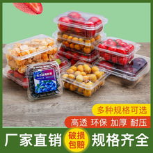 一次性水果盒果疏保鲜打包带盖透明盒子野餐菠萝蜜摆摊厂家批发