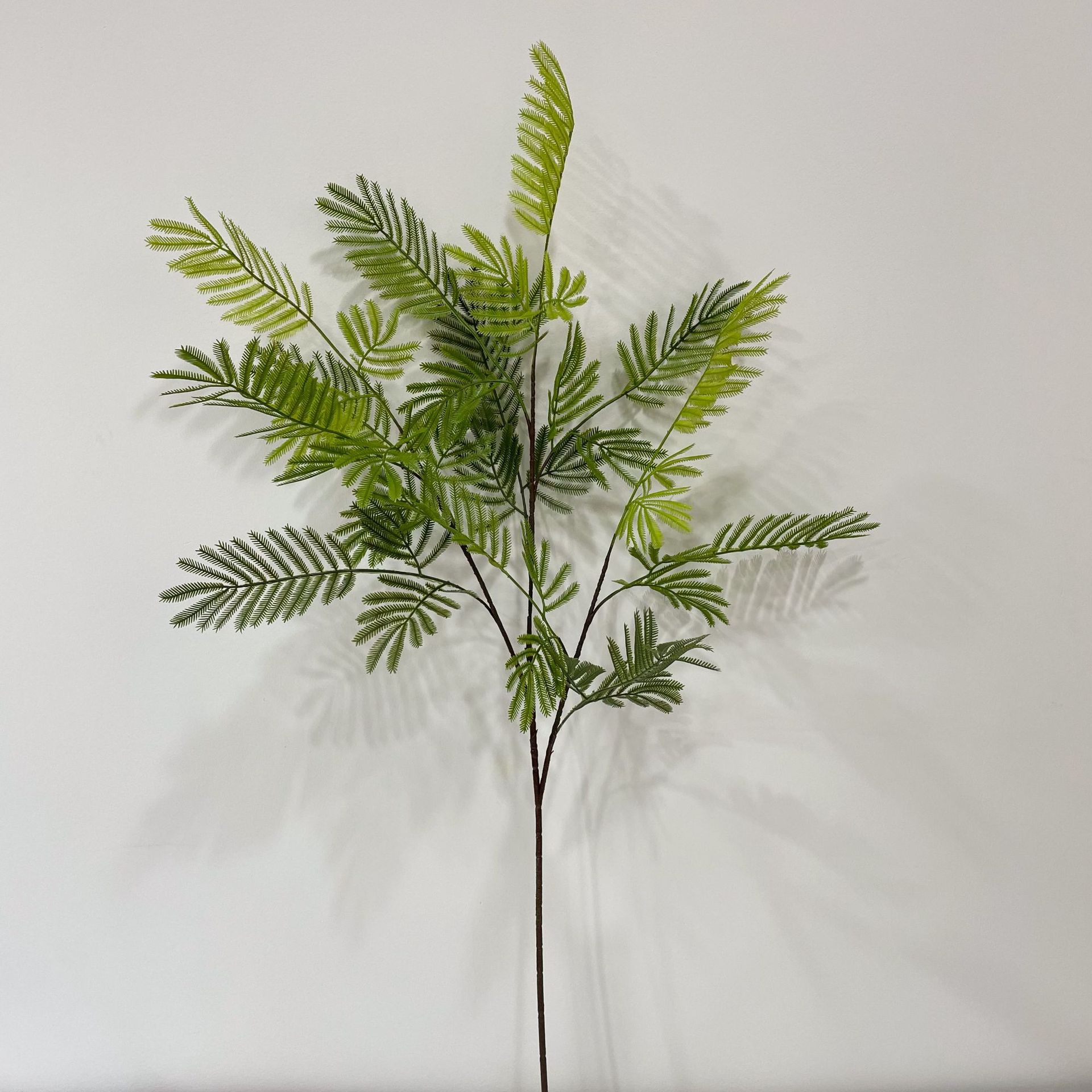 厂家批发绿植蕨类仿真含羞草 合欢草 婚庆布置 软装设计 影棚造景