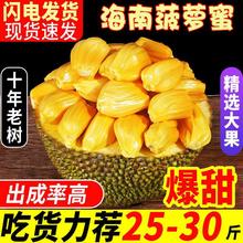 海南特产树菠萝蜜新鲜水果木波罗蜜当季整箱2-40斤一整个包邮红