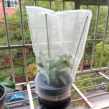 花盆保护罩防猫 花盆网罩 植物网罩 植物保护罩 草莓防虫网罩种菜