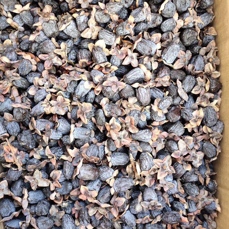 河北特产带盖无核黑枣柿蒂黑枣野柿子软枣君迁子野生柿枣原味新鲜