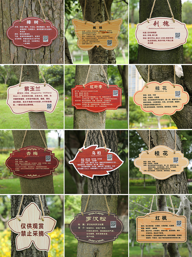 树牌挂牌公园景区亚克力树木介绍牌认养牌简介牌悬挂式标识牌