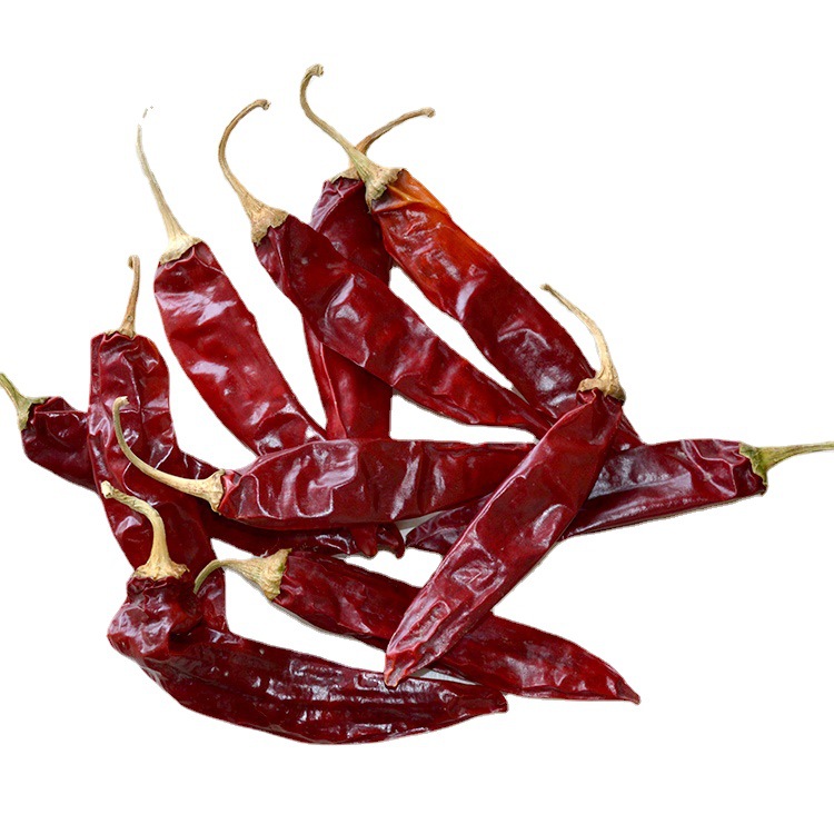 新疆红龙十三红辣椒品质保证新疆红辣椒带把1000g