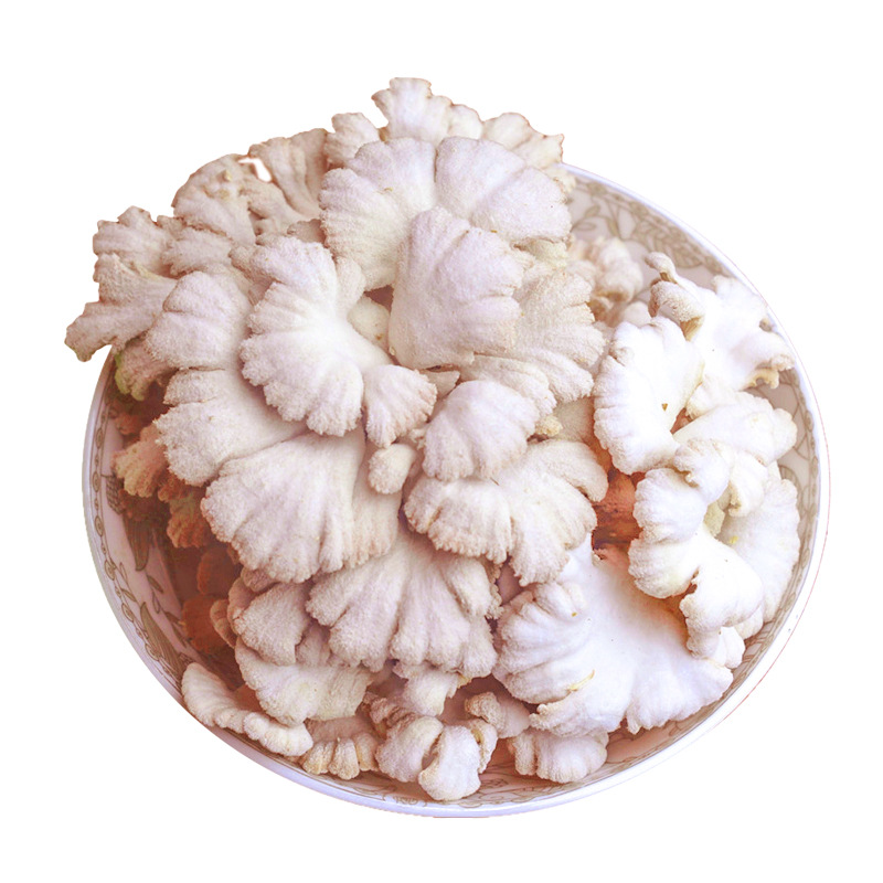 新鲜白参菌 云南山珍 炒拌蒸家宴美食 现摘现发 航空冷链直达