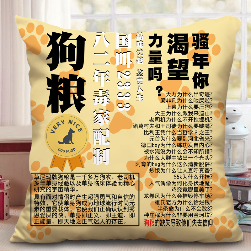 搞笑创意生日礼物五年高考三年模拟五年单身狗狗粮抱枕黄冈密卷