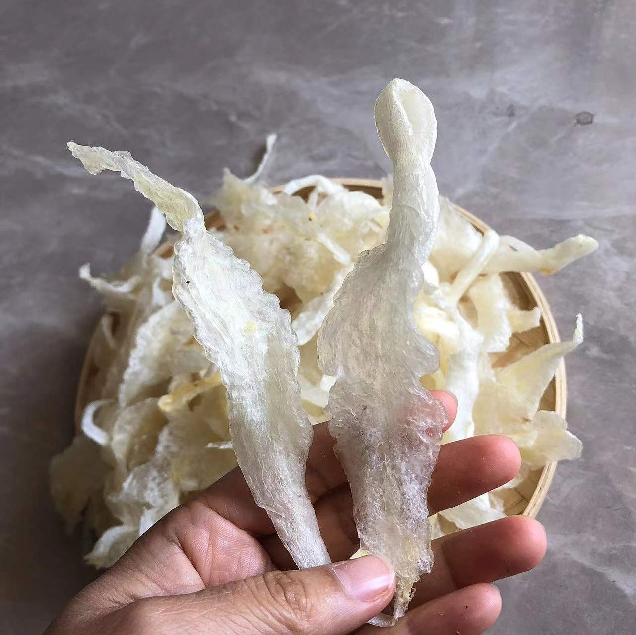 白玉胶花胶鱼胶巴沙胶小龙胶无齿芒鱼肚鱼膘淡水鱼胶即食花胶材料