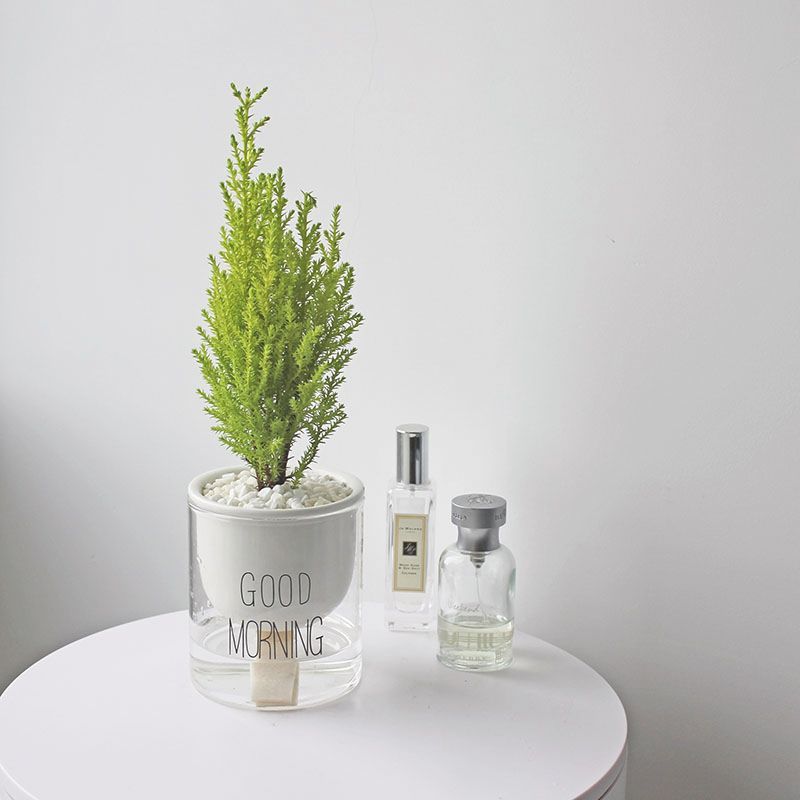 包邮或首单立减成交评价规格颜色官方补贴香松限时抢购【全场1折】