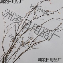 干枝梅天然干树枝树装饰玄关墙面插花云龙柳客厅搭配隔断复古枯枝