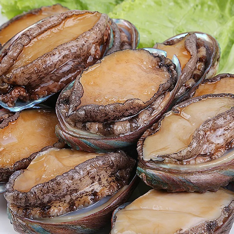 野生鲍鱼新鲜鲍鱼冷冻小鲍鱼海鲜水产贝类大鲍鱼全国包邮-阿里巴巴