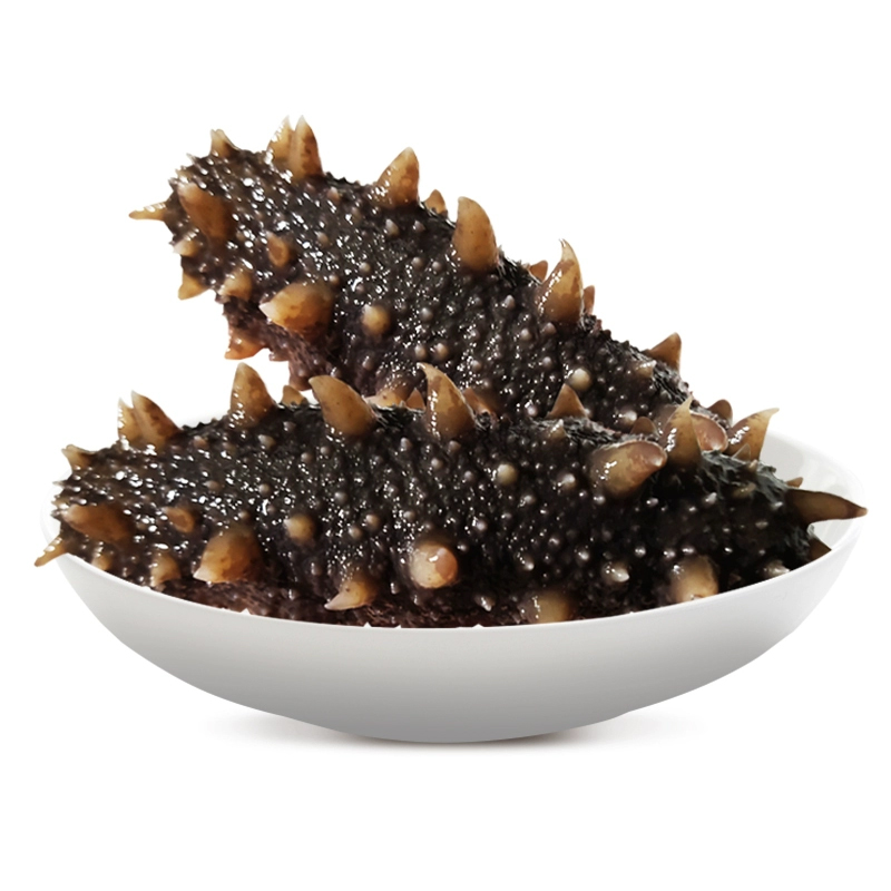 即食海参鲜活野生辽参非干货500g海生刺参真空单个装 图片_高清大图