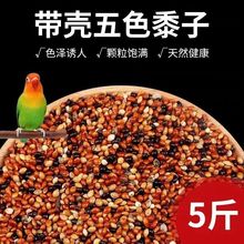 鹦鹉鸟饲料虎皮牡丹玄凤中小型鸟食五色黍子混合粮谷子包邮批发