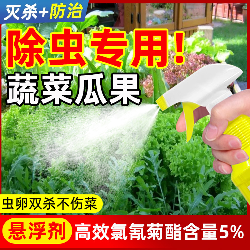 阳台种菜辣椒植物青菜草莓苗瓜果蔬菜除杀虫剂专用非无毒菜园农药