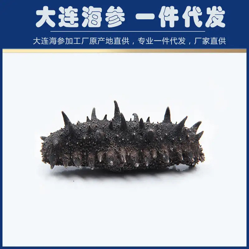 淡干海参干货刺参辽参野生海叁大连鲜活礼盒正品非即食-阿里巴巴