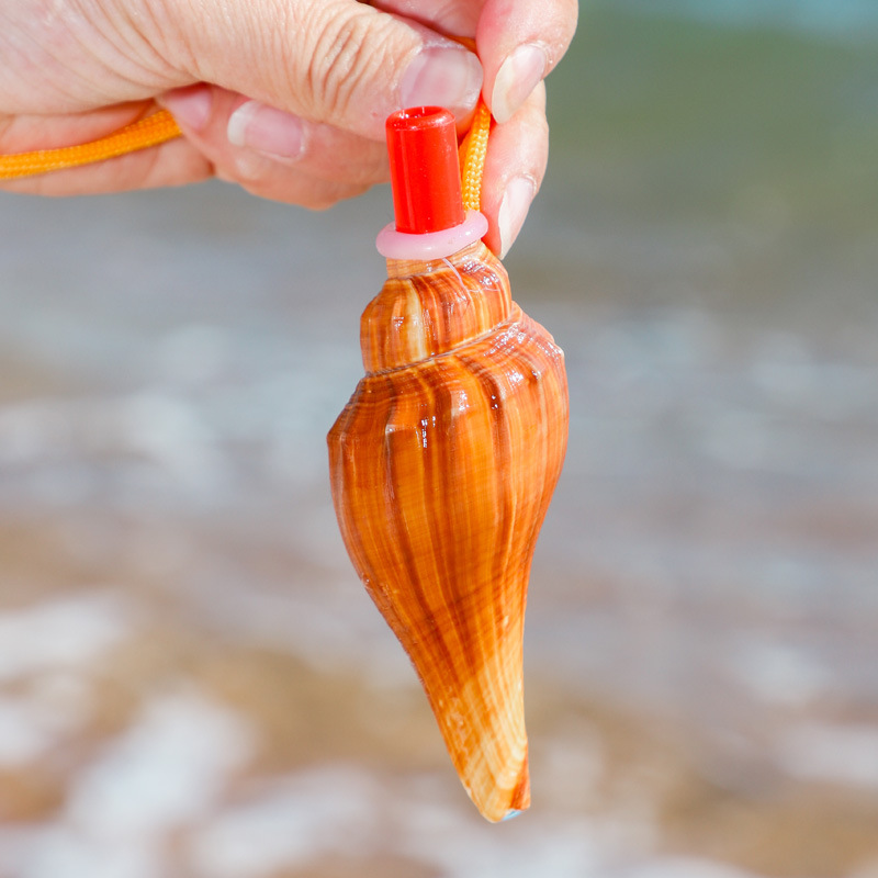 天然海螺号角可吹响超大哨子喇叭贝壳口哨工艺品儿童玩具小螺号