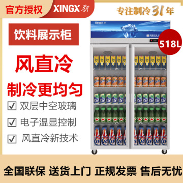 星星(xingx)展示柜冷藏饮料柜商用 便利店超市啤酒水果保鲜冰柜