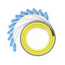 LHG电信级12芯单模SC束状尾纤 ODF配线架理线器用集束光纤尾纤