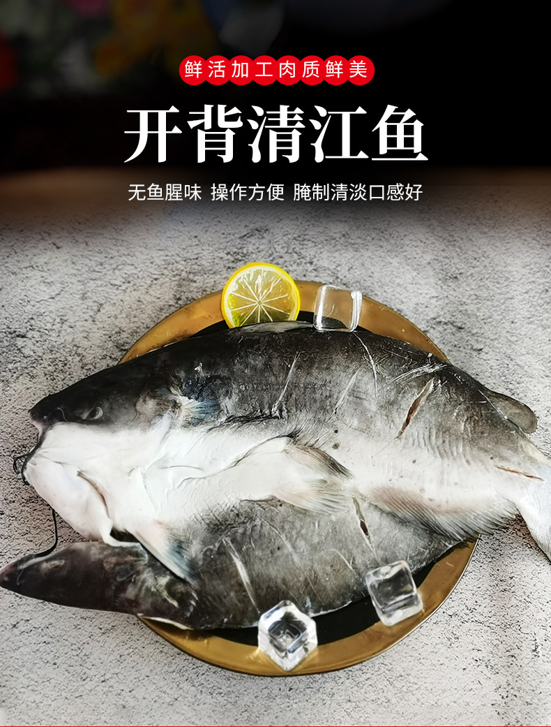 新鲜开背清江鱼活鱼冷冻商用烤鱼半成品鲜活腌制整条700g-1100g