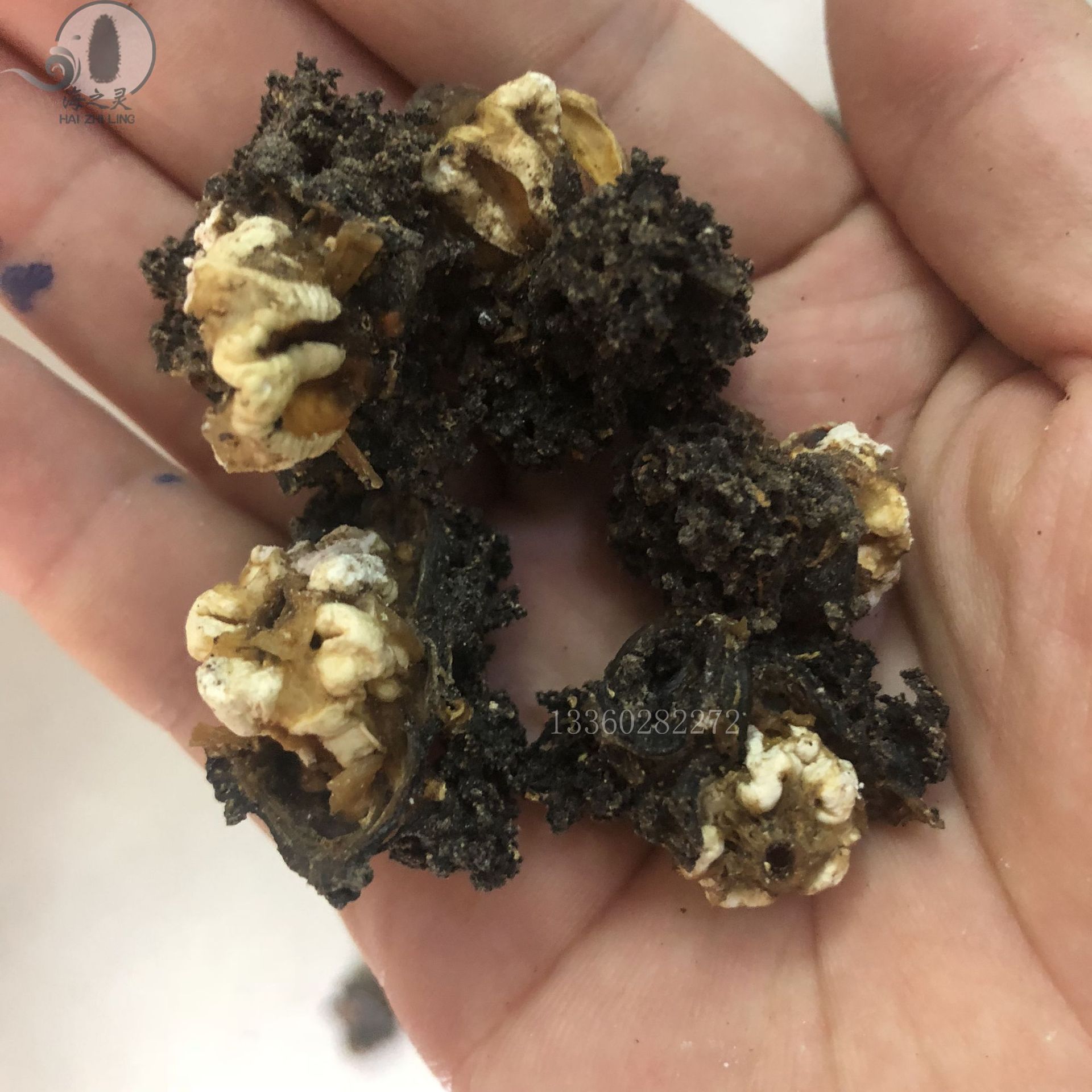 批发海参花 红极海参头 参皮头带肉 足干 酒店专供 实惠食材原料