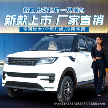 新国标黑骑武士两轮电动自行车绿牌免驾驶证高速外卖代步锂电瓶车