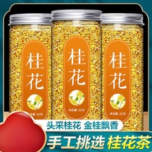 桂花新桂花茶食用烘焙新鲜干金桂花干花新花花草花茶泡水厂家直销