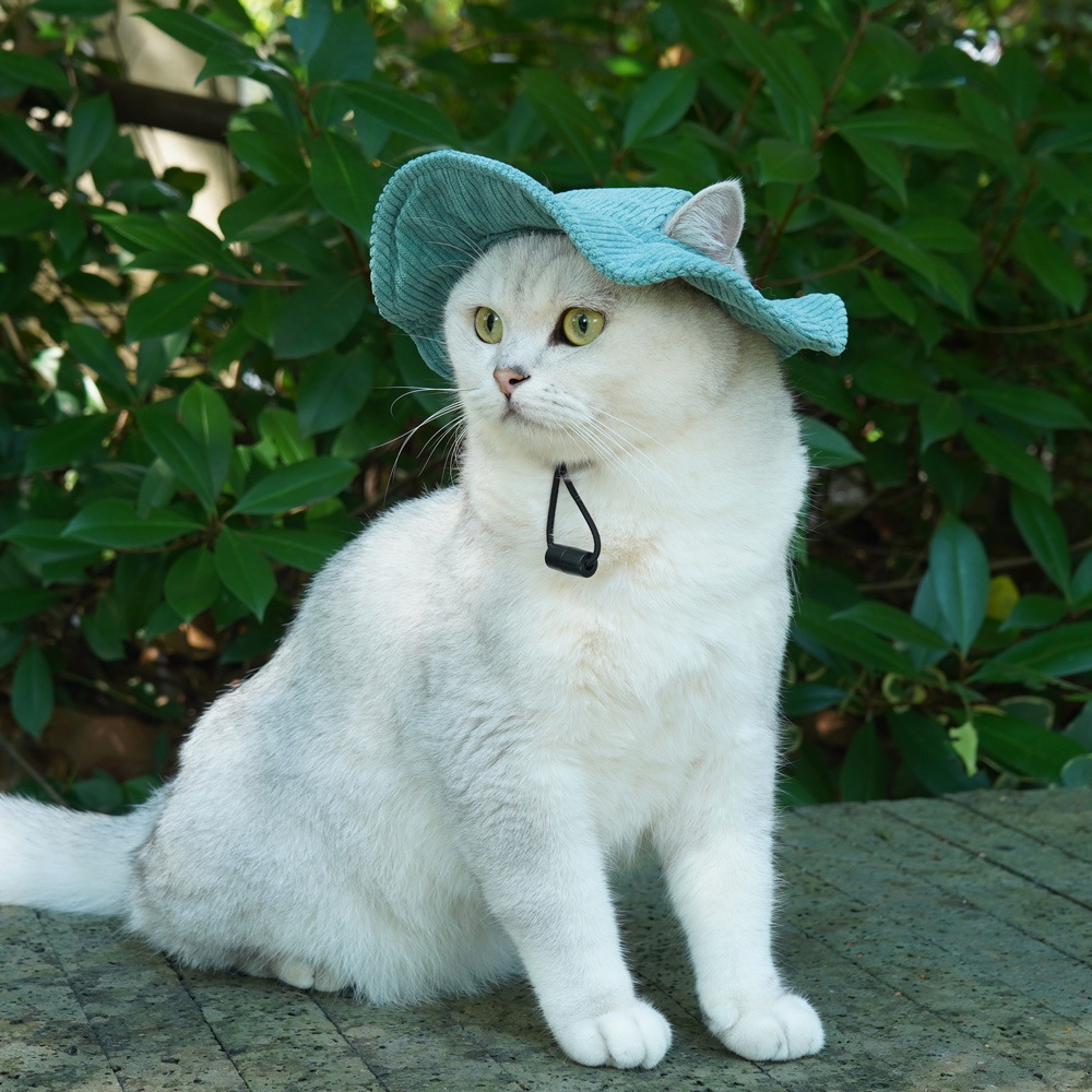 Cute Cute Pet Bucket Hat Sunshade Exposed Ear Cat Dog Bucket Hat Pet Cross-Border Hot Selling Pet Hat