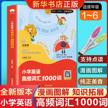 小学英语1-6年级单词知识大全同步强化阶梯训练小学6年级课外阅