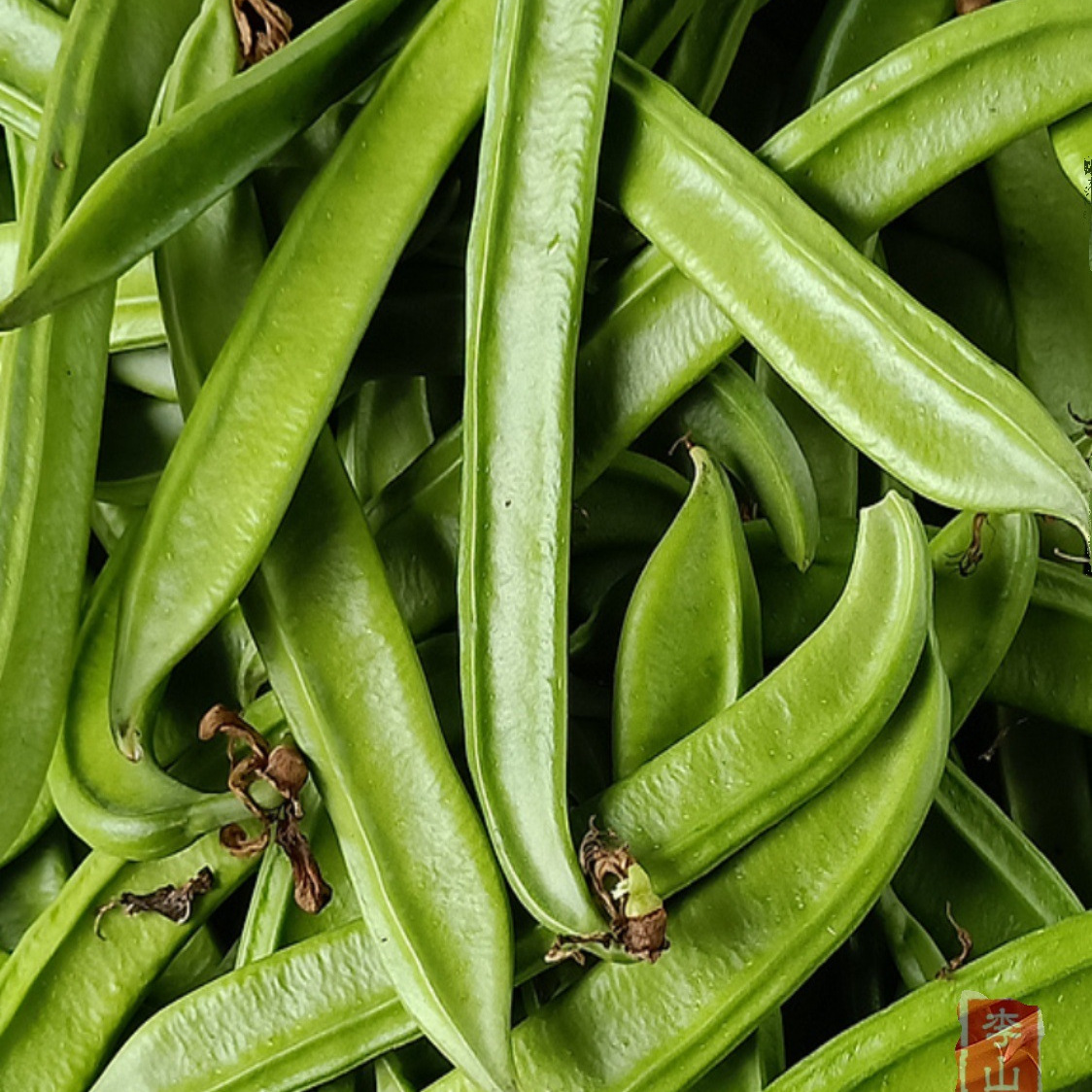 剁椒干刀豆小米椒刀豆干香辣开胃青刀把豆干剁辣椒腌制下饭菜包邮