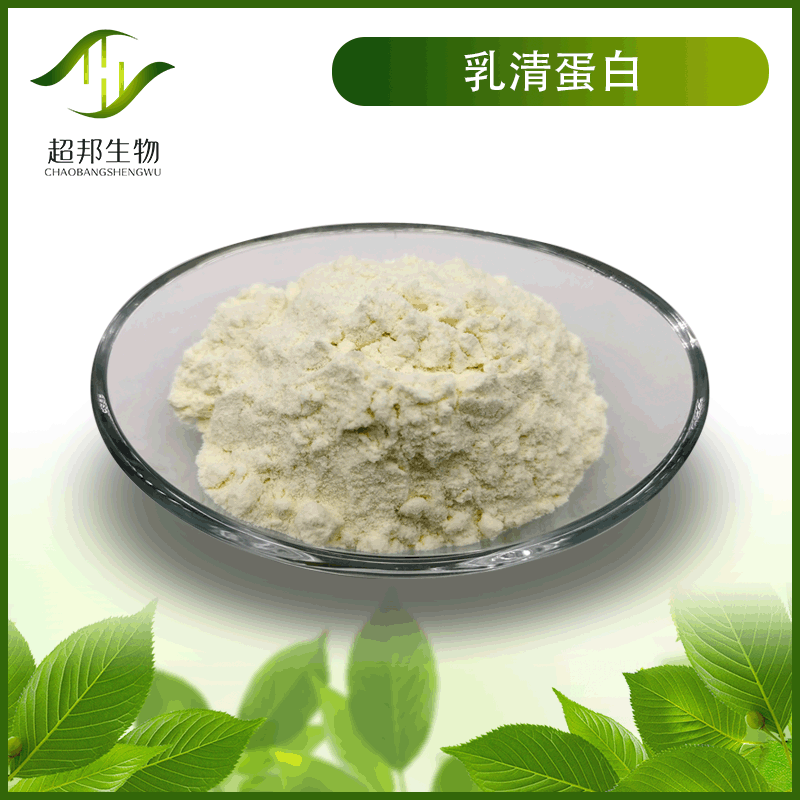 乳清蛋白粉丨浓缩分离乳清蛋白 99%丨现货500g/袋