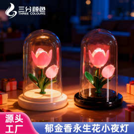 跨境创意郁金香永生花小夜灯装饰摆件生日礼物七夕情人节礼物氛围
