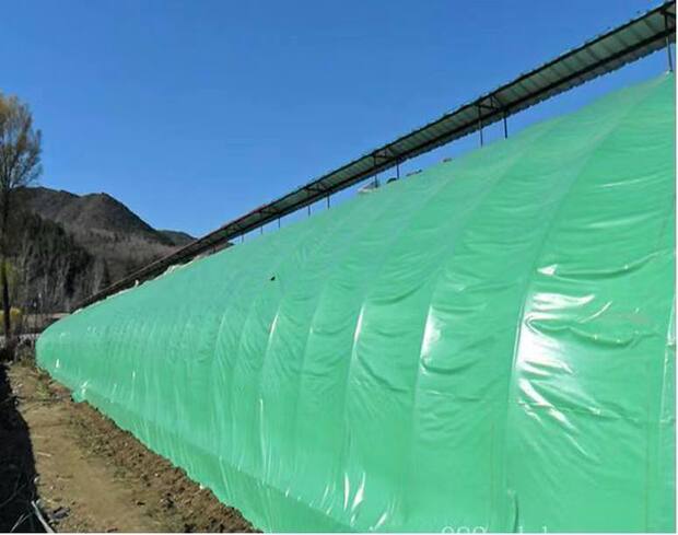 厂家定制 抗老化防晒遮阳防航拍大棚膜 养殖食用菌专用pep绿白膜