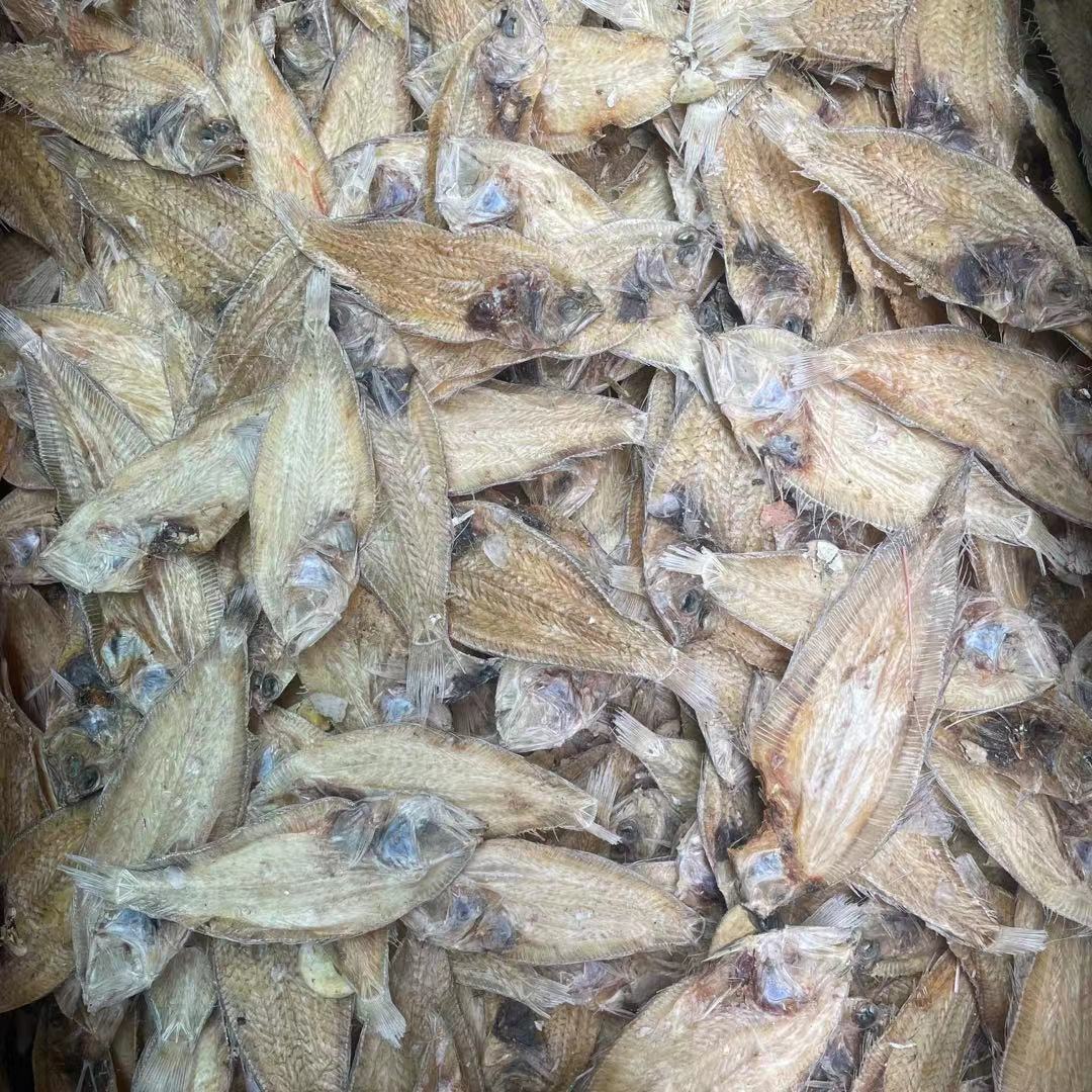 广东汕尾铁补鱼翅补鱼大地鱼干100g左口扁鱼干货云吞汤底火锅商用