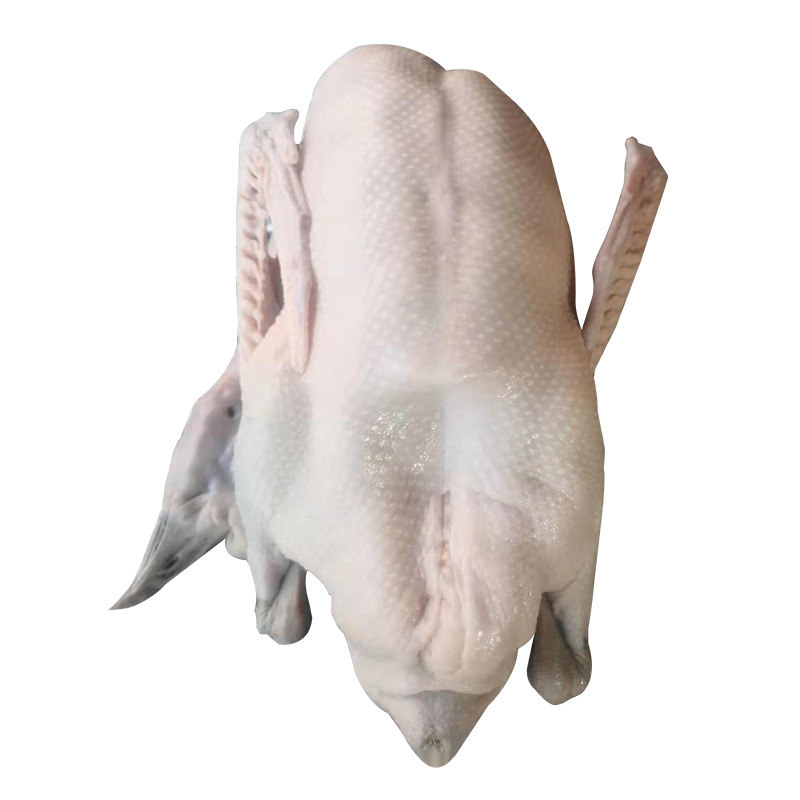 广东佛山冰鲜冷冻鹅 黑棕光鹅  冷冻黑棕鹅