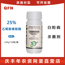 禾益粉创宁25%乙嘧酚磺酸酯黄瓜草莓西甜瓜白葡萄粉病剂农药