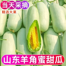 山东羊角蜜甜瓜水果新鲜当季带箱5斤包邮小密瓜香瓜蜜瓜羊角脆