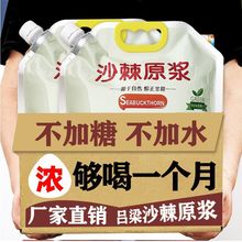 沙棘原浆100正宗批发沙棘鲜果生榨沙棘汁整箱含沙棘果油